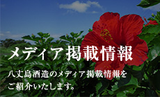メディア掲載